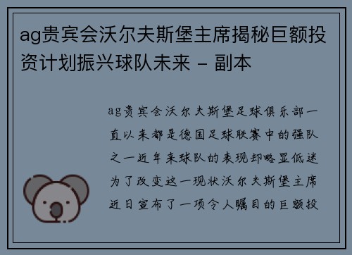 ag贵宾会沃尔夫斯堡主席揭秘巨额投资计划振兴球队未来 - 副本