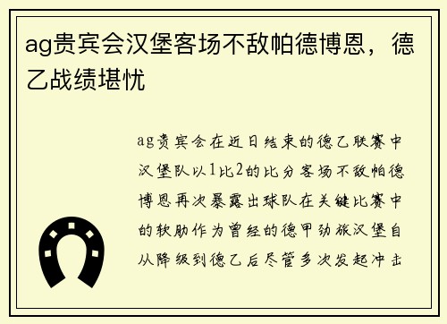 ag贵宾会汉堡客场不敌帕德博恩，德乙战绩堪忧