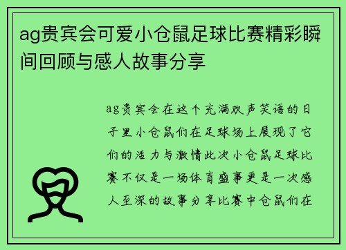ag贵宾会可爱小仓鼠足球比赛精彩瞬间回顾与感人故事分享