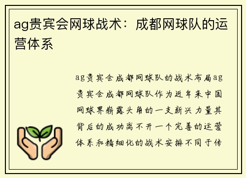 ag贵宾会网球战术：成都网球队的运营体系